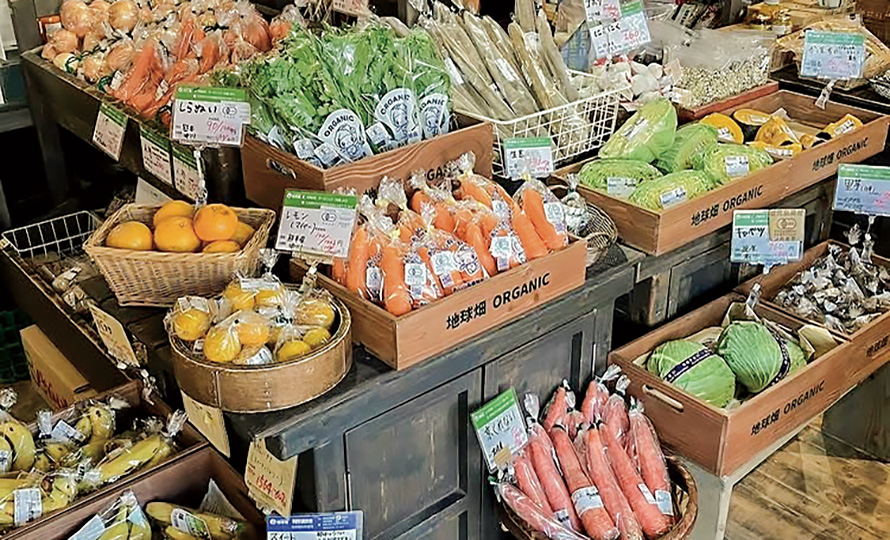 地球畑・カフェ